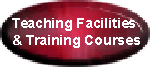 To Teaching and Training Courses