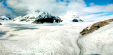 Glacier Tour